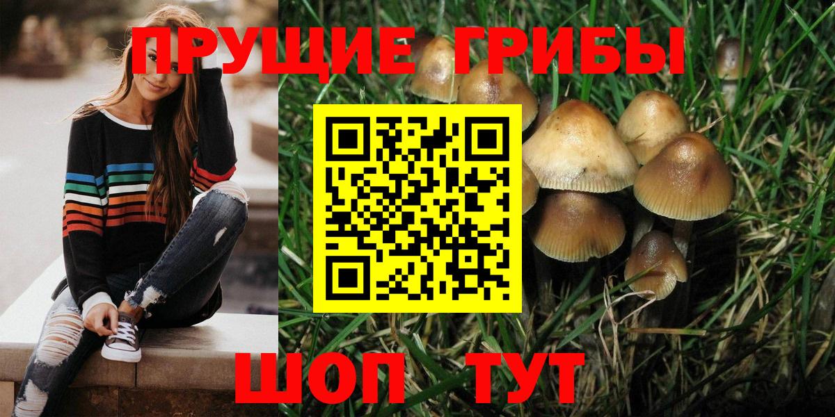 Галлюциногенные грибы прущие грибы  Вход с VPN  Светлоград 