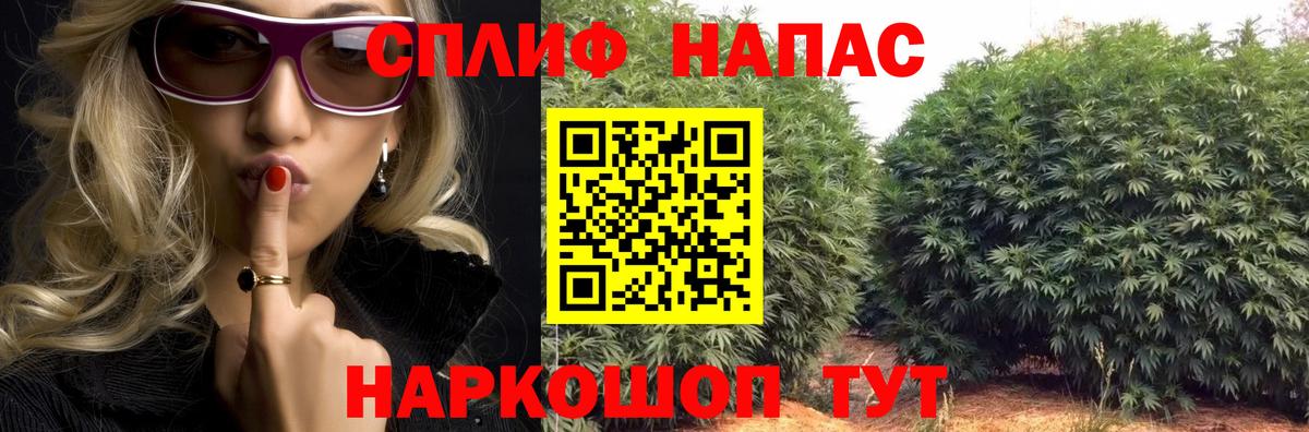 ГАШ Светлоград